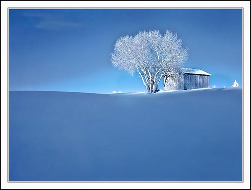 khashayar&nbsp;asadi